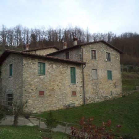 Le Chianine Dei Tognoli Gragnola Bagian luar foto