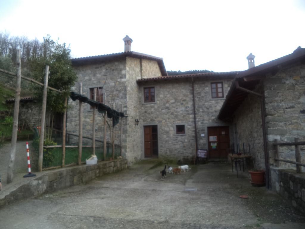 Le Chianine Dei Tognoli Gragnola Bagian luar foto