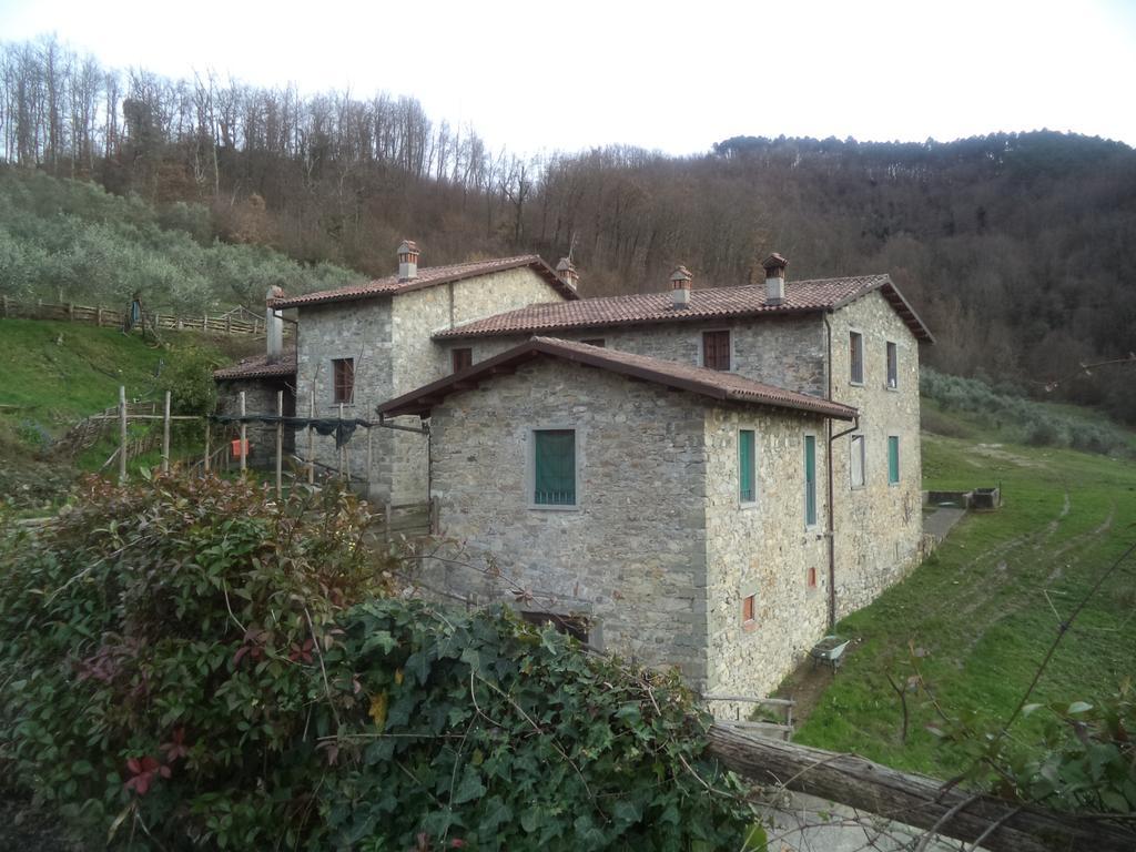 Le Chianine Dei Tognoli Gragnola Bagian luar foto
