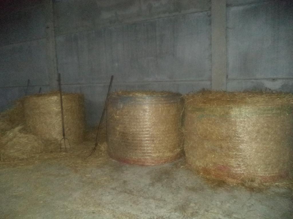 Le Chianine Dei Tognoli Gragnola Bagian luar foto